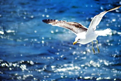 Beautiful Beach Hd Wallpapers (37)