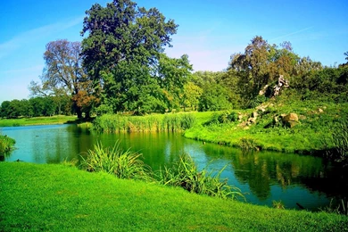 Beautiful Hd Nature Wallpapers