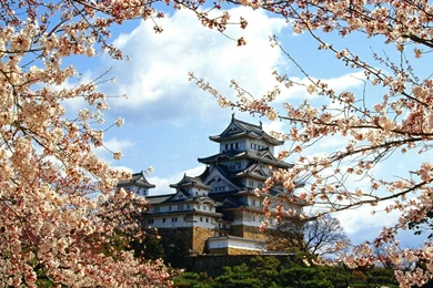 Wallpapers Castle, Sakura, Cherry, Himeji, Japan, Himeji Jo Castle ...