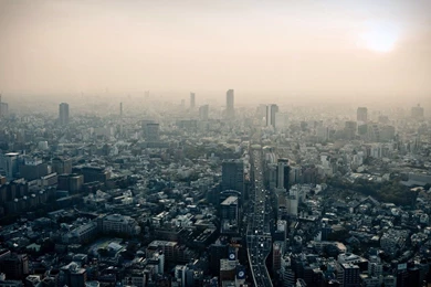 Tokyo Tag Wallpapers Page 3: Tokyo Night Sakura Japanese Scenery ...