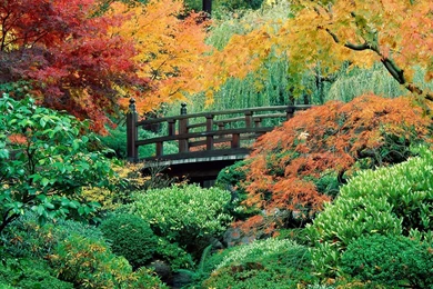 Japan Wallpapers Print Japanese Desktop Backgrounds