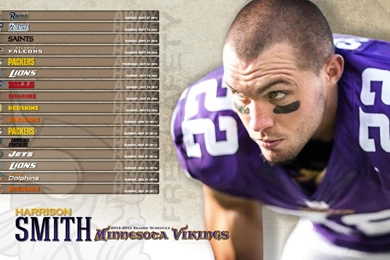 2014 Vikings Desktop Wallpapers   HighPoint's Desktop Schedules ...