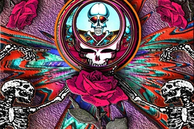 Gallery For   Grateful Dead Computer Wallpapers