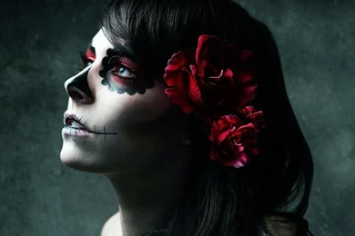 Grateful Dead Desktop Wallpapers Archives   Free Wallpapers In