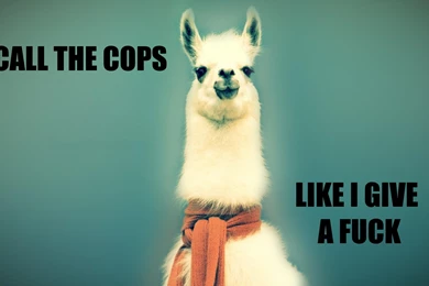 What's The Best Desktop Backgrounds You've Ever Had/seen? : Reddit.com