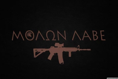 Spartan Firearm HD HD Desktop Wallpapers : High Definition