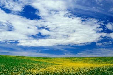 Free Wallpapers   Free Nature Wallpapers   Blue Sky And White Cloud ...