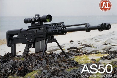 Gun Poster: AS50   The Firearm Blog