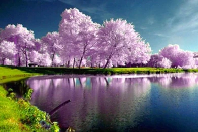Spring Nature Wallpapers High Resolution   Wallpaper.