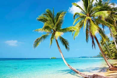 Nature Wallpapers High Resolution GRNS12