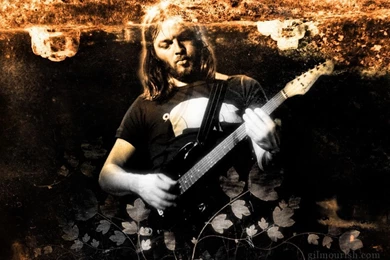 Wall   David Gilmour Wallpapers (25882578)   Fanpop