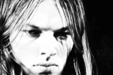 David Gilmour Playing Guitar Viewing Gallery