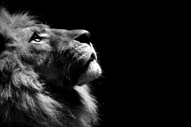 Hd Black And White Wallpapers 7.jpg