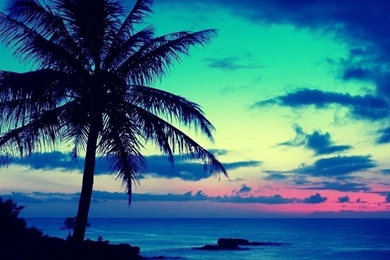 Tropical Sunrise HD Desktop Wallpapers : High Definition ...