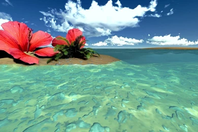 Tropical Backgrounds Wallpapers HD Free Download