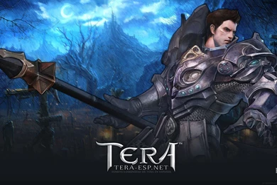 TERA Human Male Wallpapers By Rendermax On DeviantArt