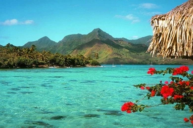 Desktop Backgrounds Tropical Beach Backgrounds Tropical Beach Screen ...