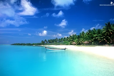 Beach Tropical Sea Beach Wallpapers2 Tropical Beach Wallpapers ...
