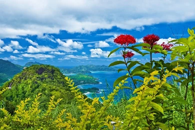 Tropical Beach Wallpaper Desktop Background.jpg