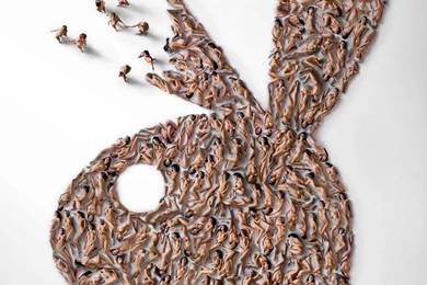 Baps Wallpapers 2011   Halv 8