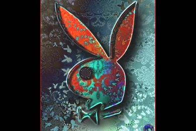 Playboy Bunny Logo   Playboy Wallpapers (439495)   Fanpop