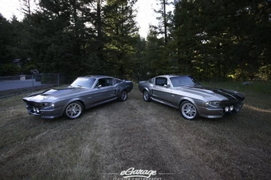 Mustang Shelby Gt500 Eleanor 2013 FwzQVsaA   FewMo.com – Cool Car ...
