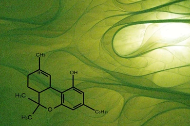 Gallery For   Green Chemistry Wallpapers