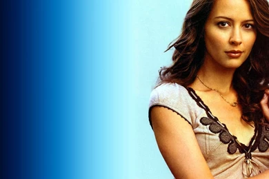 Wonderful Amy Acker Wallpapers