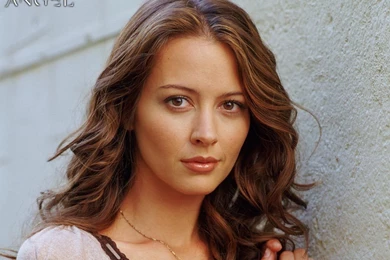 Amy As Fred   Amy Acker Wallpapers (2270245)   Fanpop