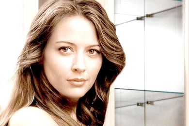 Amy Acker Wallpaper HD 9 download.jpg
