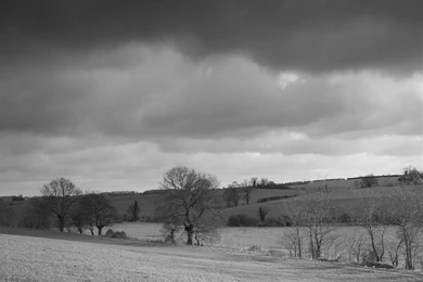 Free Grey Wallpaper: Grey Desktop Wallpapers