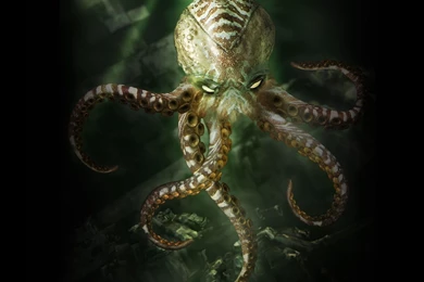 Sturmwind Sea Monster Widescreen Hd Wallpapers