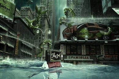 High Definition Wallpapers Fantasy Wallpapers Your Top HD Wallpapers ...