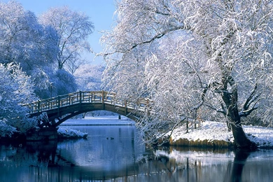 Winter Nature Backgrounds