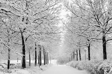 Winter Nature Wallpapers 3.jpg