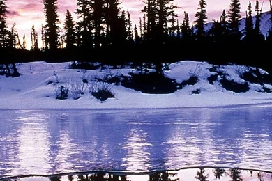 1080x1920 Winter Nature Wallpapers HD