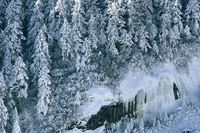 1080x1920 Winter Nature Wallpapers HD