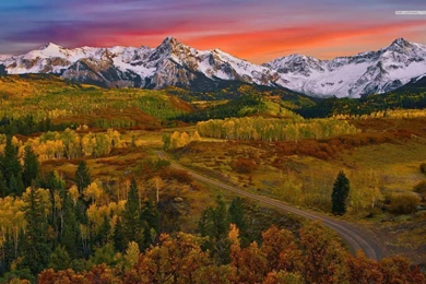 Small Road In The Autumn Forest Wallpapers