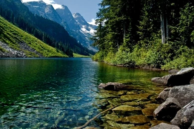 Cool Nature Wallpapers