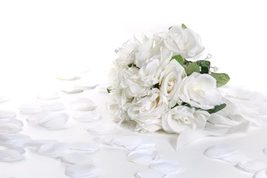 Romantic White Rose Flower Wedding Wallpapers H