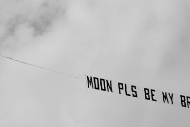 Wedding Proposal HD Desktop Wallpapers : Widescreen : High ...