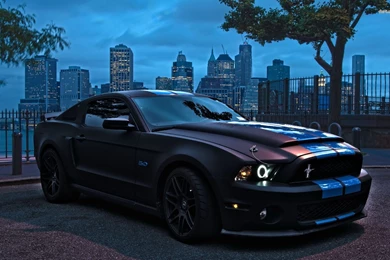 Ford Mustang GT500 Wallpapers   Car Wallpapers
