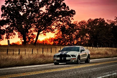 Ford Mustang desktop wallpaper.jpg