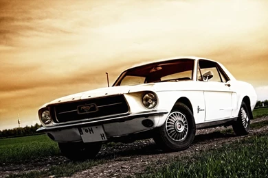 Ford Mustang 1967 Wallpaper 3.jpg