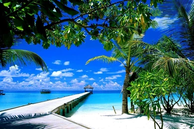 Florida Beach Wallpapers 3.jpg