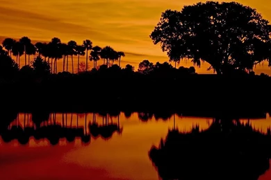 Desktop Wallpapers · Gallery · Travels · Jacksonville Nights ...