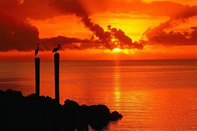 Gallery For   Florida Keys Desktop Wallpapers Free