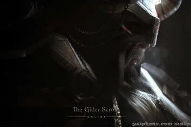 Battle hardened The Viking Wallpapers And Images   Wallpapers ...