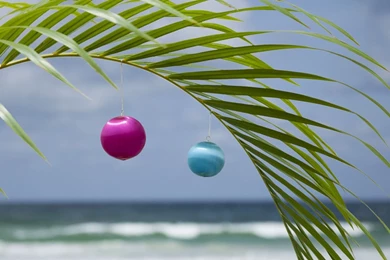 Florida Christmas Wallpapers 235732