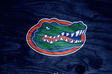Gallery For   Hd Wallpapers Florida Gators